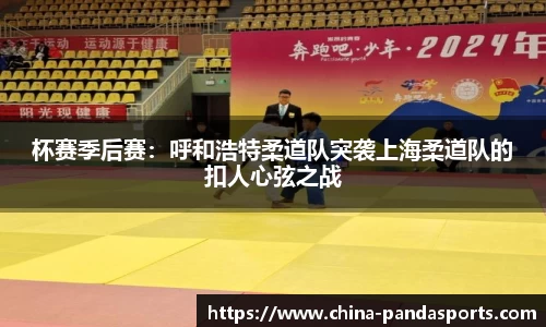熊猫体育官网